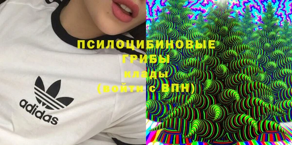 MDMA Premium VHQ Вяземский